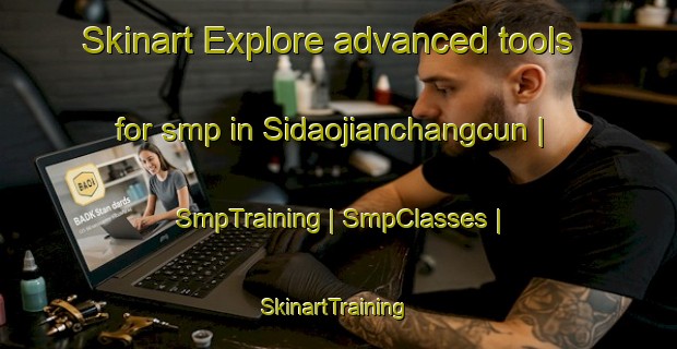 Skinart Explore advanced tools for smp in Sidaojianchangcun | SmpTraining | SmpClasses | SkinartTraining-China